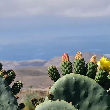 Puerto Rico Teide And Amadores View *