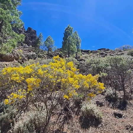 Puerto Rico Teide And Amadores View Daire
